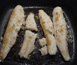 pangasius
