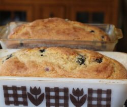 brood met bosbessen en citroen