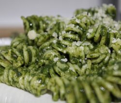 pesto pasta