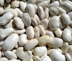 fagioli